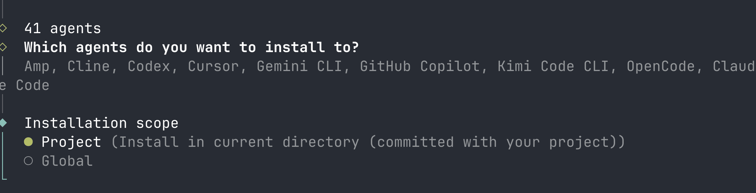 lesson-04-skills-install-scope